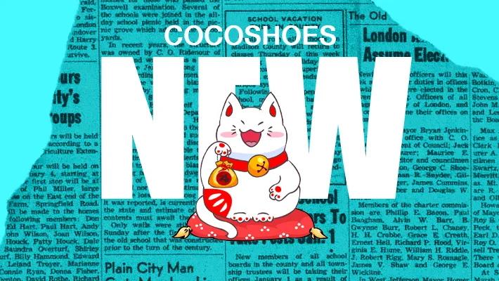 Balenciaga Track sneakers by Coco Shoes