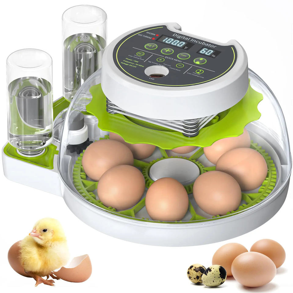 Chicken Egg Incubator Auto Turning 360 Degree Visibility