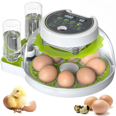 Chicken Egg Incubator Auto Turning 360 Degree Visibility 01