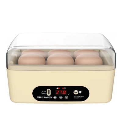 USB-Powered Egg Incubator  6-Egg Auto Roller Silent  01