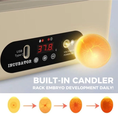 USB-Powered Egg Incubator  6-Egg Auto Roller Silent  02