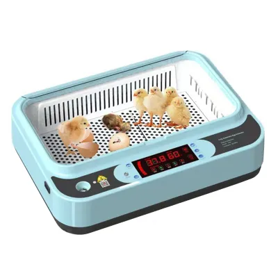 Single-Layer Precision Incubator Auto Water & Temp Control  01