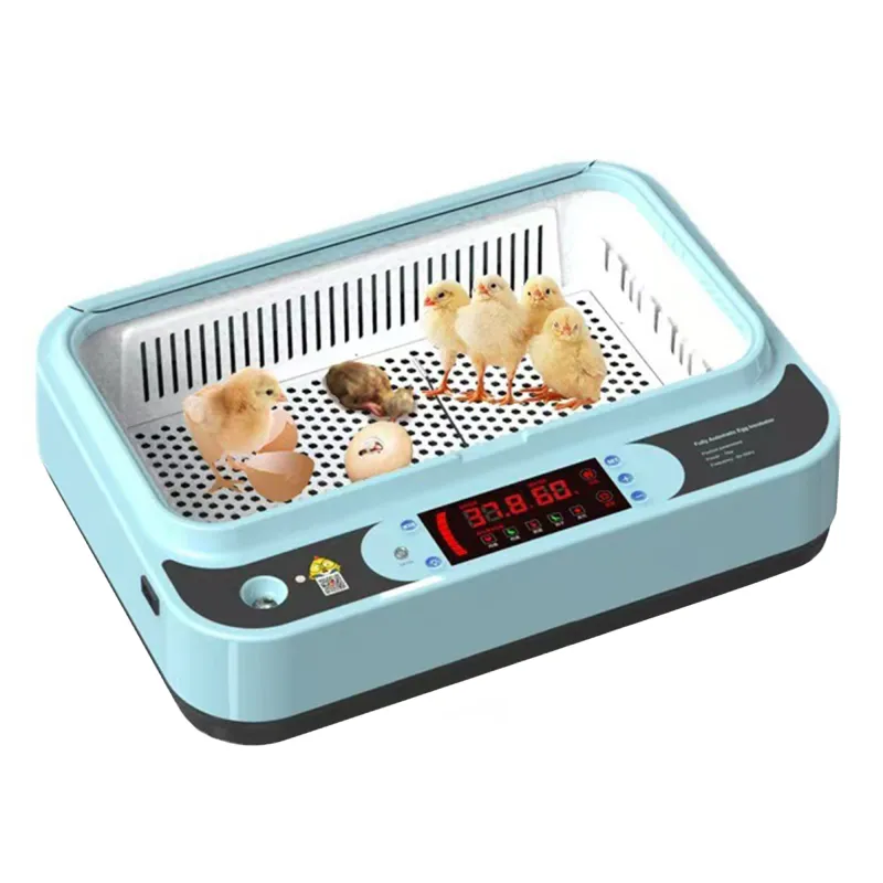 Single-Layer Precision Incubator Auto Water & Temp Control 