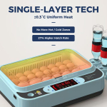 Single-Layer Precision Incubator Auto Water & Temp Control 