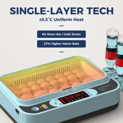 Single-Layer Precision Incubator Auto Water & Temp Control  02