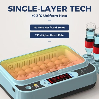 Single-Layer Precision 24 Eggs Incubator Auto Water & Temp Control  02