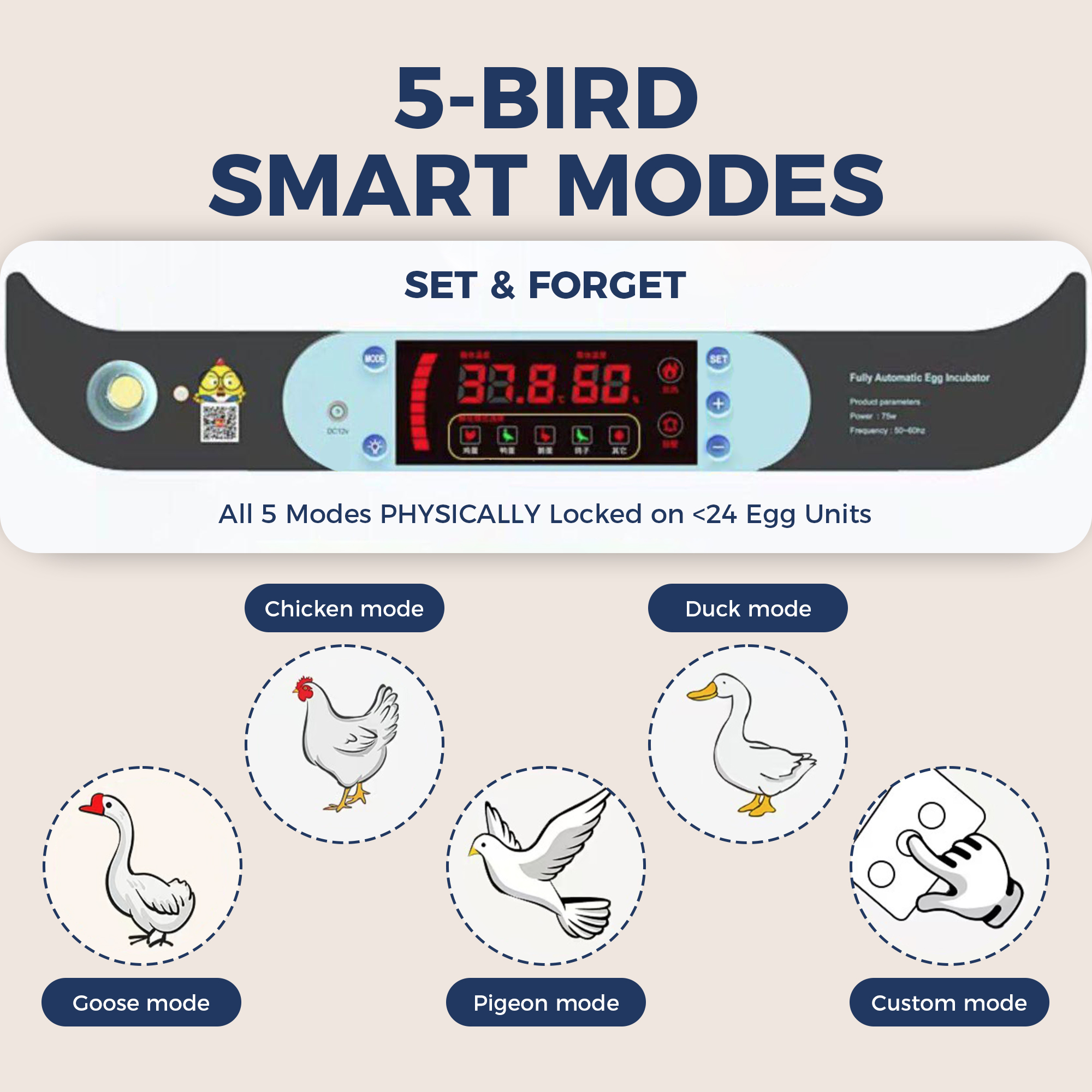 Single-Layer Precision 24 Eggs Incubator Auto Water & Temp Control 