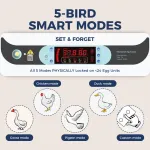 Single-Layer Precision Incubator Auto Water & Temp Control 