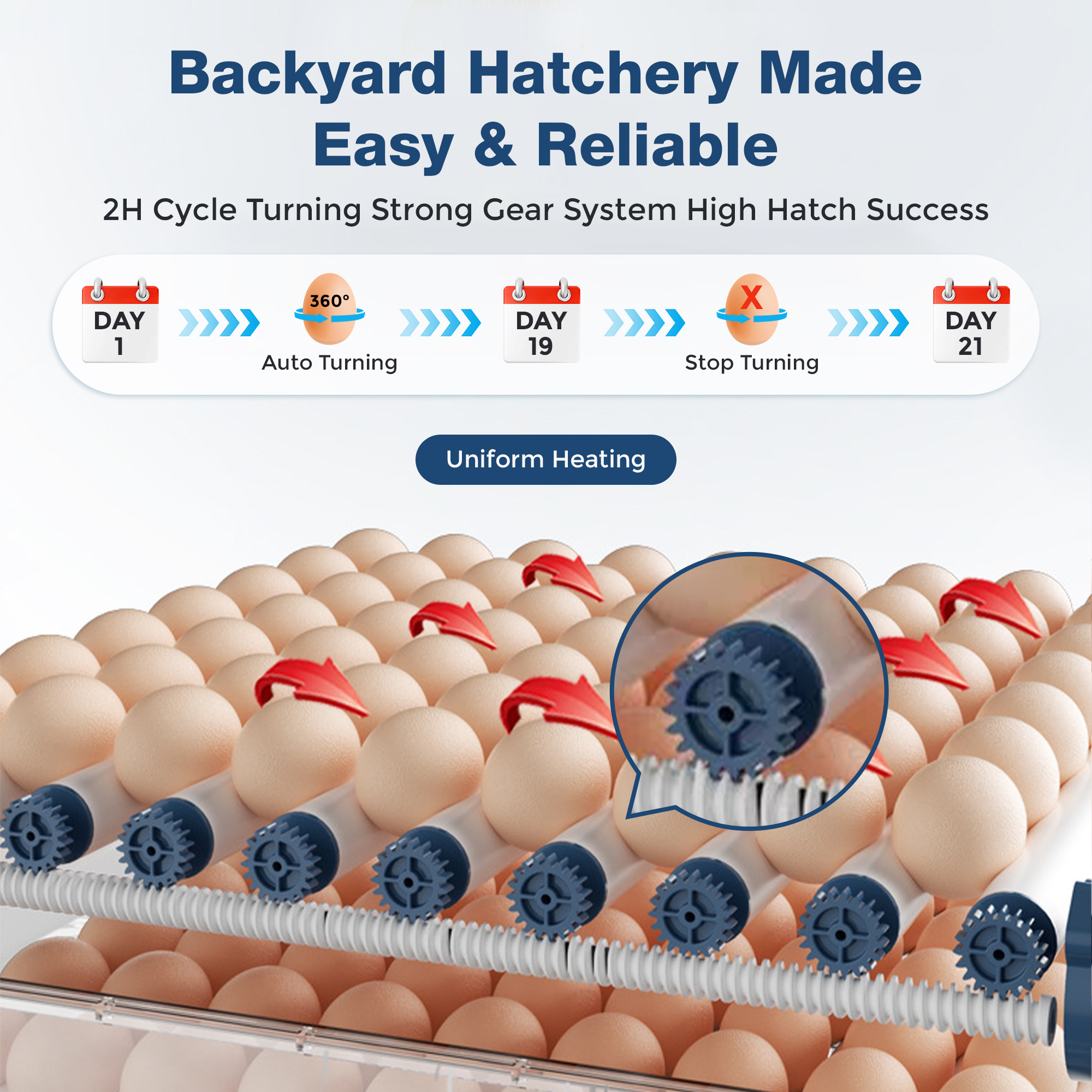 Automatic Egg Incubator with Temp and Humidity Control