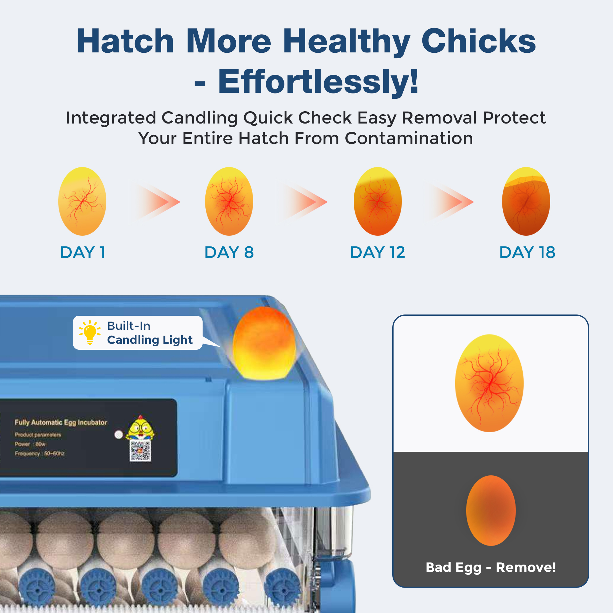 Automatic Egg Incubator with Temp and Humidity Control