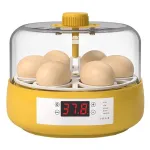 Eggbloom 6-Egg Auto-Turn Incubator