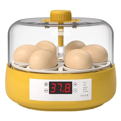 Eggbloom 6-Egg Auto-Turn Incubator 01