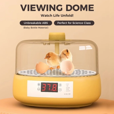 Eggbloom 6-Egg Auto-Turn Incubator 02