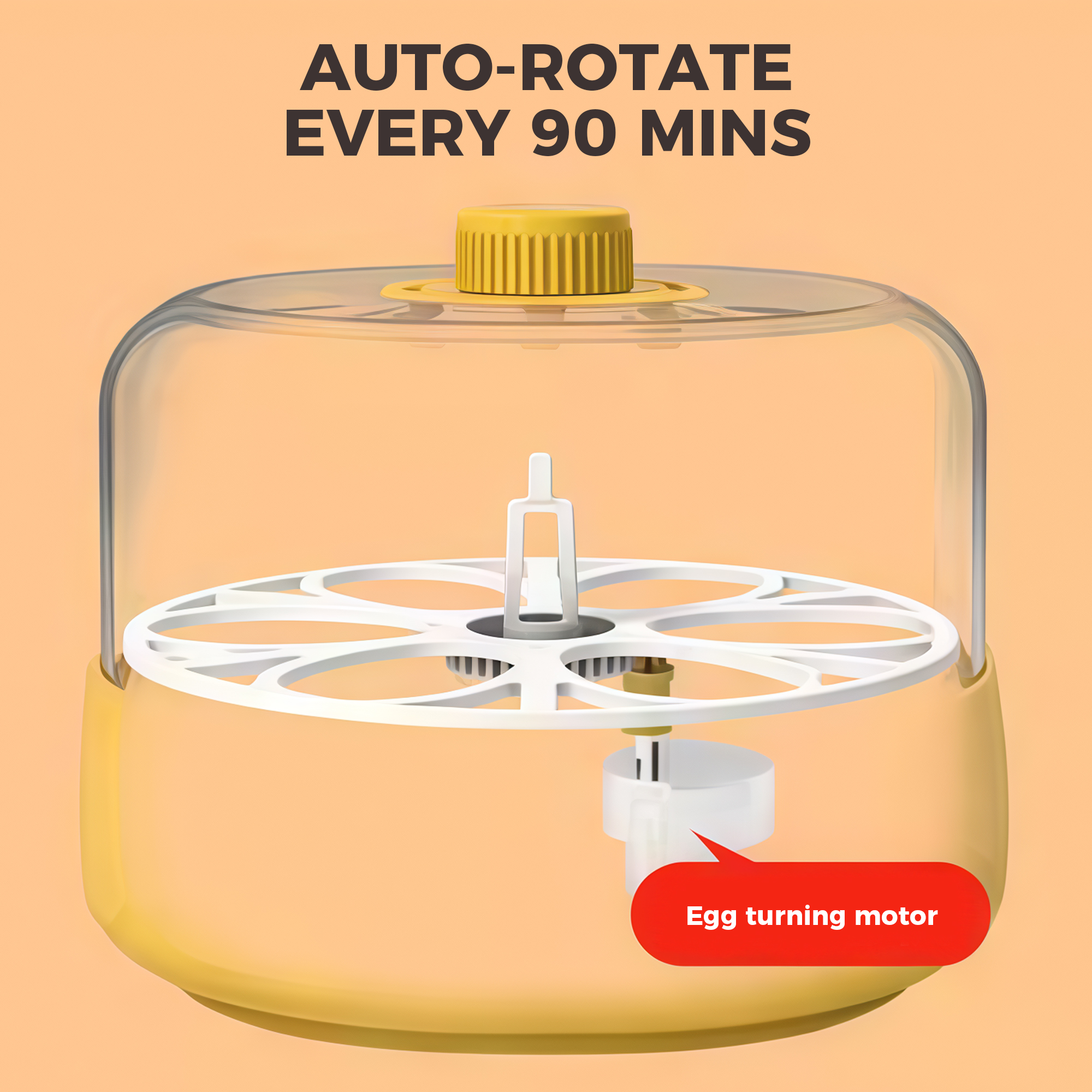 Eggbloom 6-Egg Auto-Turn Incubator