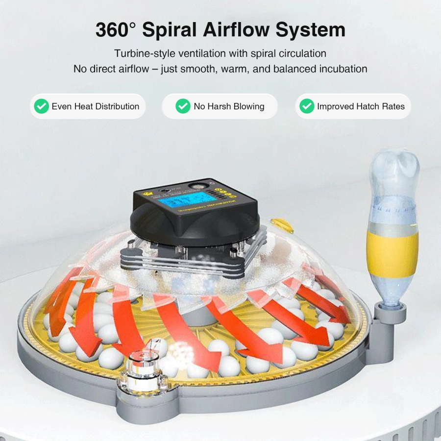 Automatic Egg Incubator with Interchangeable Trays (Chicken, Quail, Bird Options)