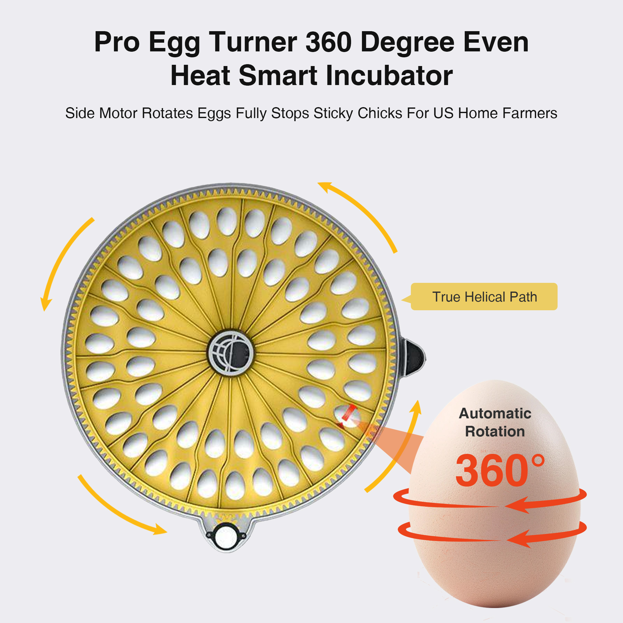 Automatic Egg Incubator with Interchangeable Trays (Chicken, Quail, Bird Options)