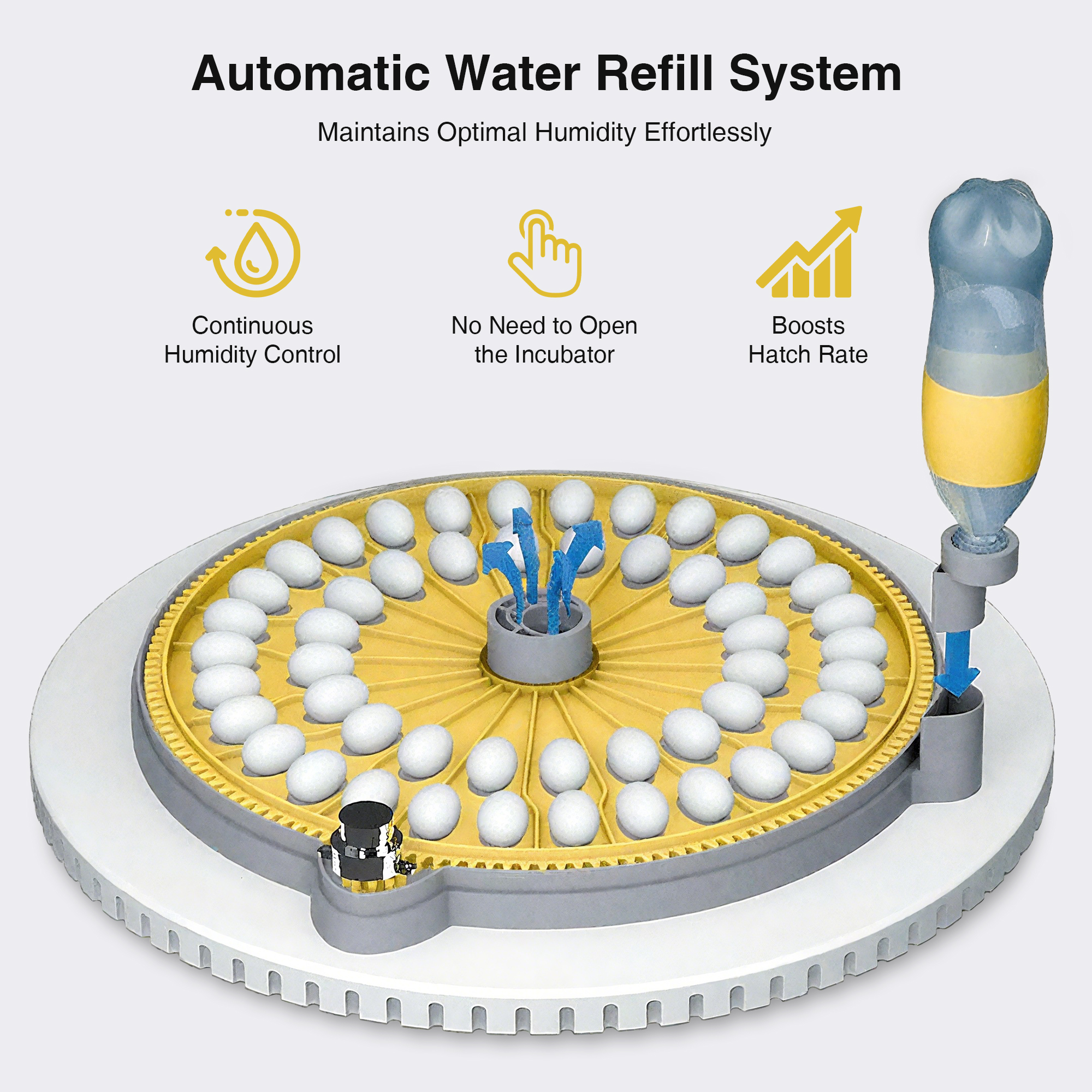 Automatic Egg Incubator with Interchangeable Trays (Chicken, Quail, Bird Options)