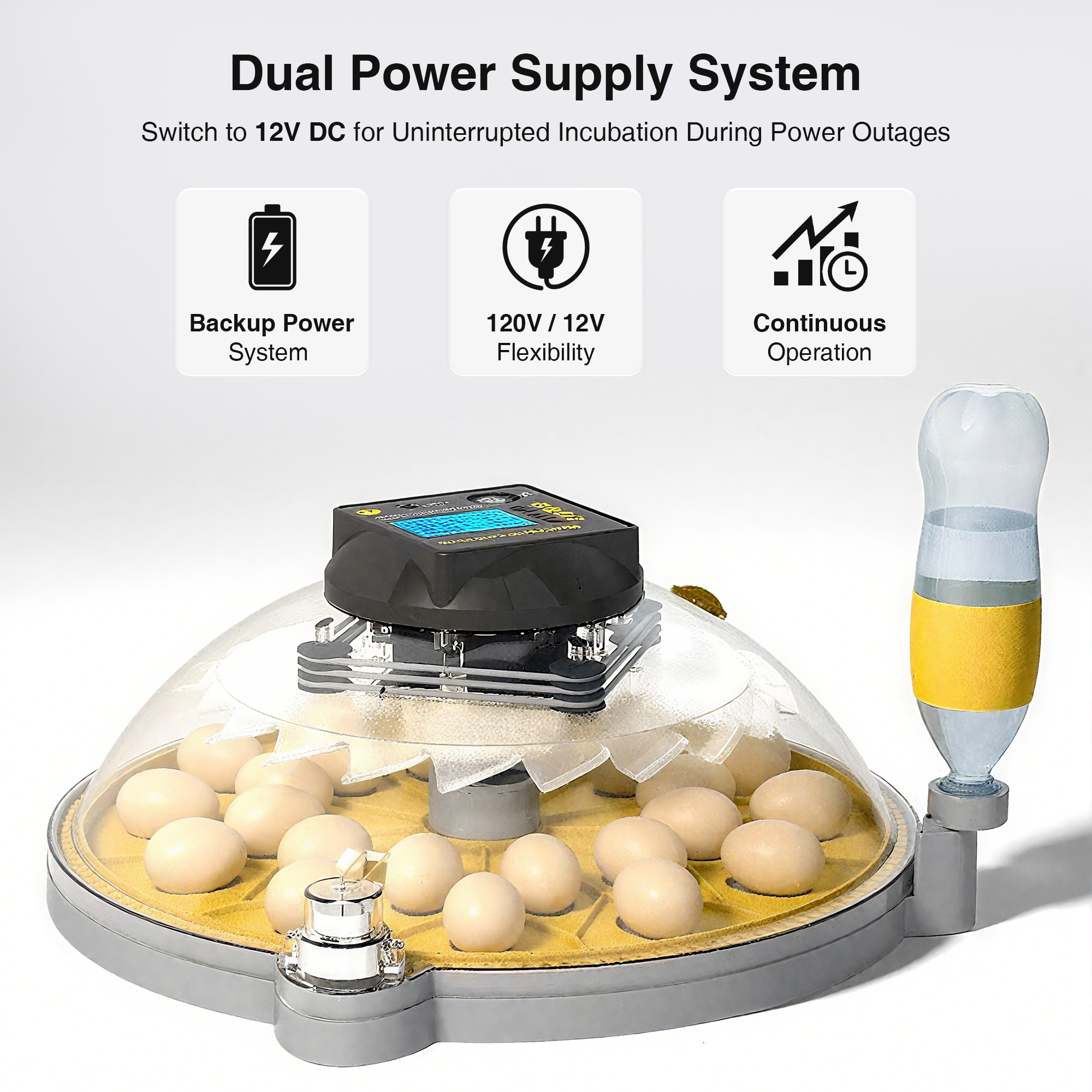 Automatic Egg Incubator with Interchangeable Trays (Chicken, Quail, Bird Options)