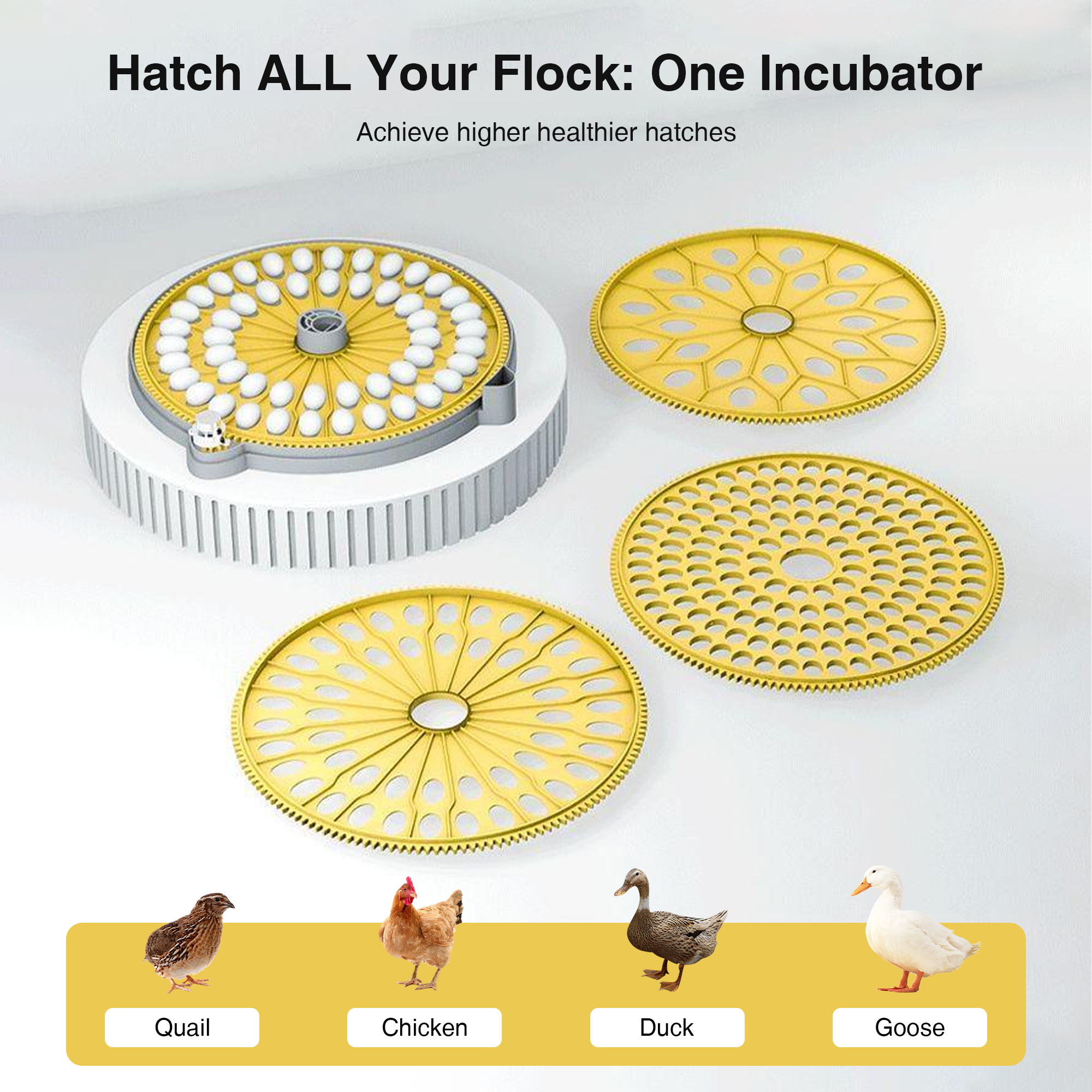Automatic Egg Incubator with Interchangeable Trays (Chicken, Quail, Bird Options)