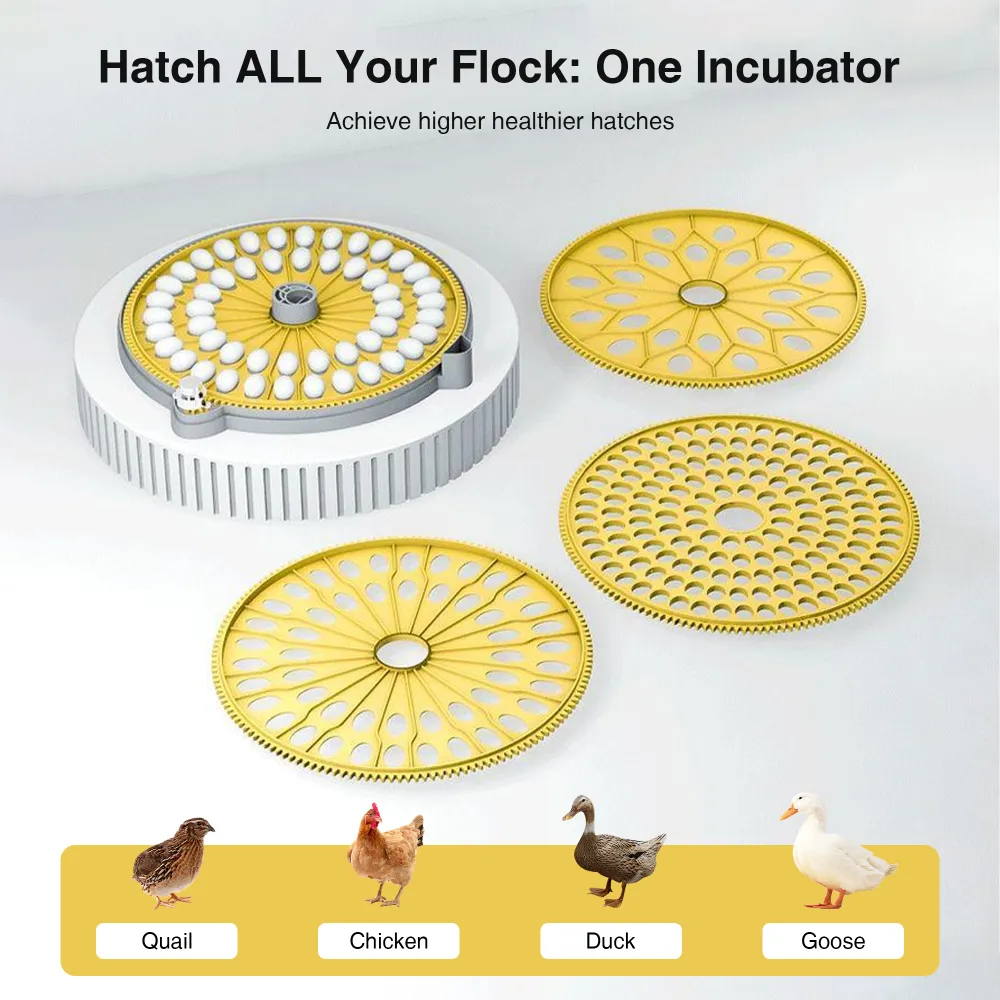 Automatic Egg Incubator 3 Trays for Birds and Quail