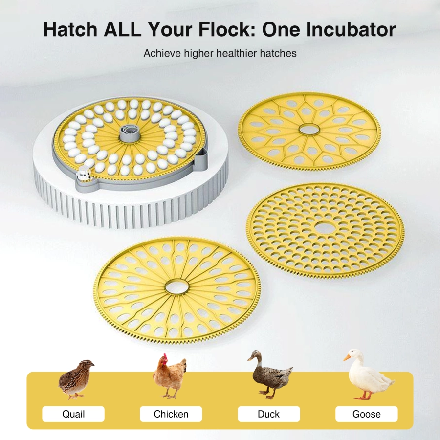 Automatic Egg Incubator with Interchangeable Trays (Chicken, Quail, Bird Options)