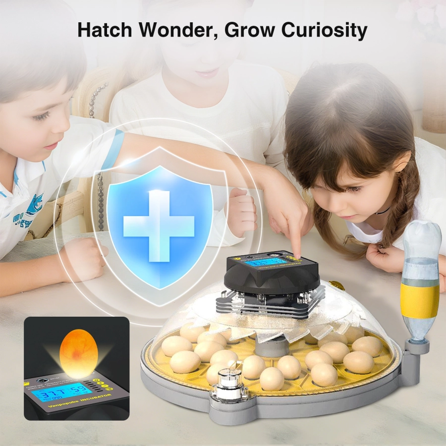 Automatic Egg Incubator with Interchangeable Trays (Chicken, Quail, Bird Options)