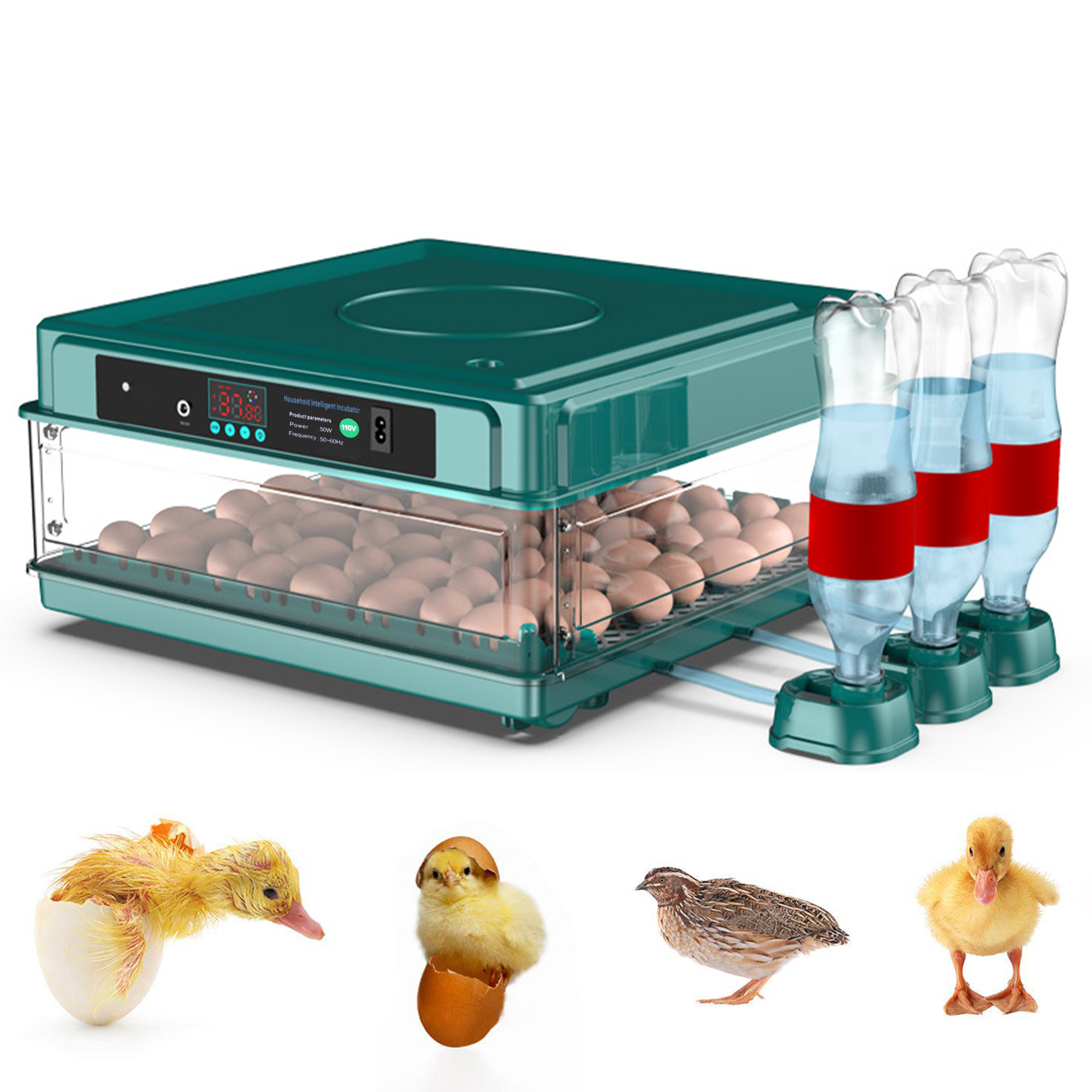 Automatic Duck Egg Incubator with Auto Turn and Dual Motors
