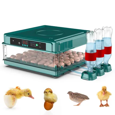 Automatic Duck Egg Incubator with Auto Turn and Dual Motors 01