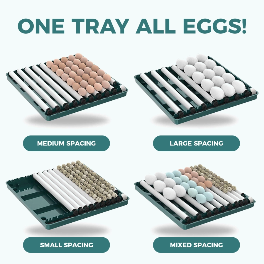 Automatic Duck Egg Incubator with Auto Turn and Dual Motors