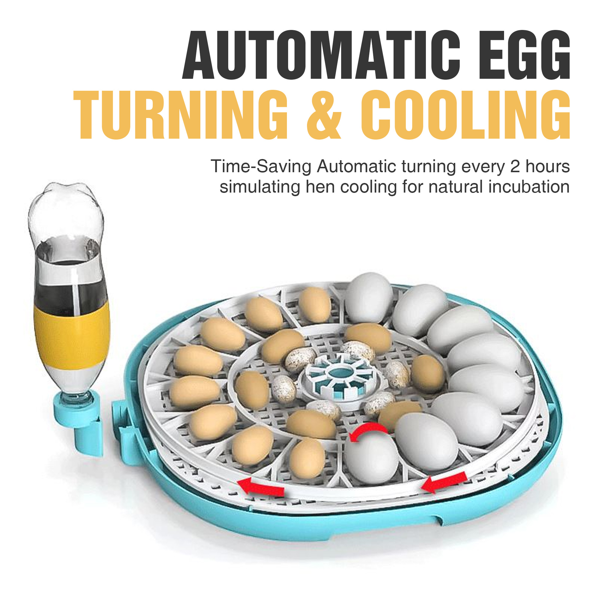  Digital Automatic Egg Incubator with Auto Turning & Humidity Control – 22 Eggs 