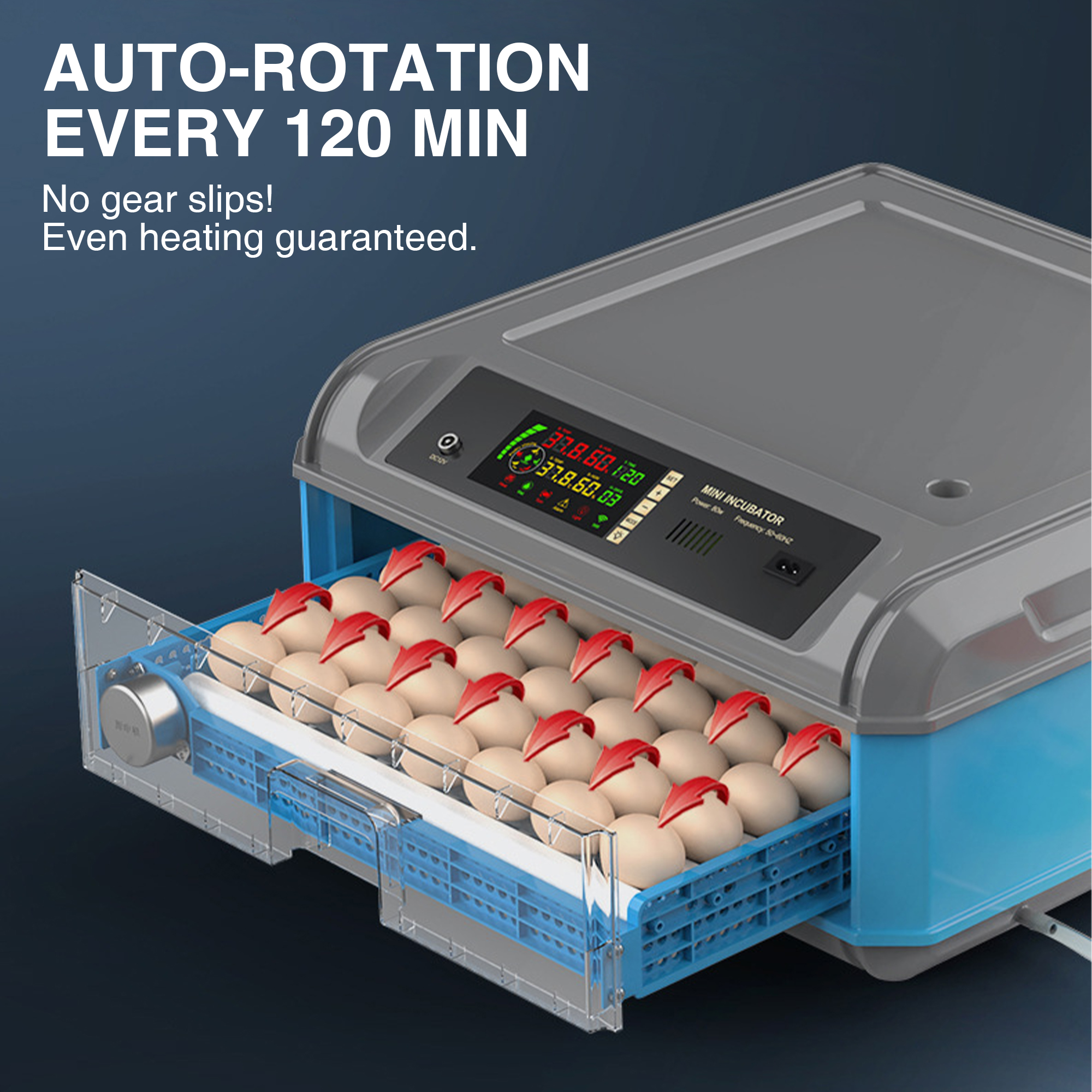 Automatic Drawer Egg Incubator