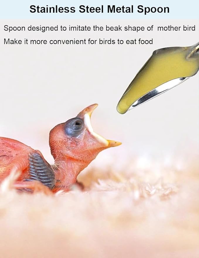 Baby Bird Feeding Syringe Kit (5-Piece Set)