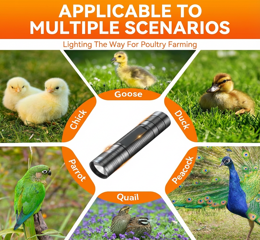 Titanium Series 3.0: High-Intensity LED Egg Candler