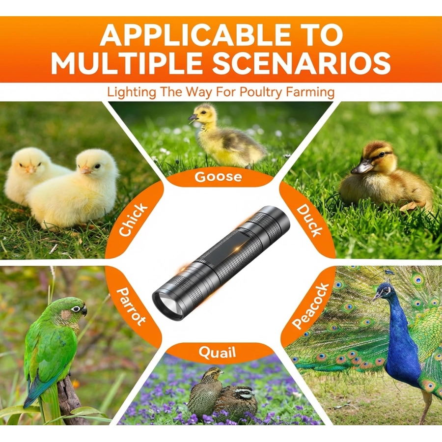 Titanium Series 3.0: High-Intensity LED Egg Candler