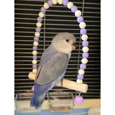 Bird Cage Toys Set (4-Pack) – Swing Perch & Chew Toy Bundle 02