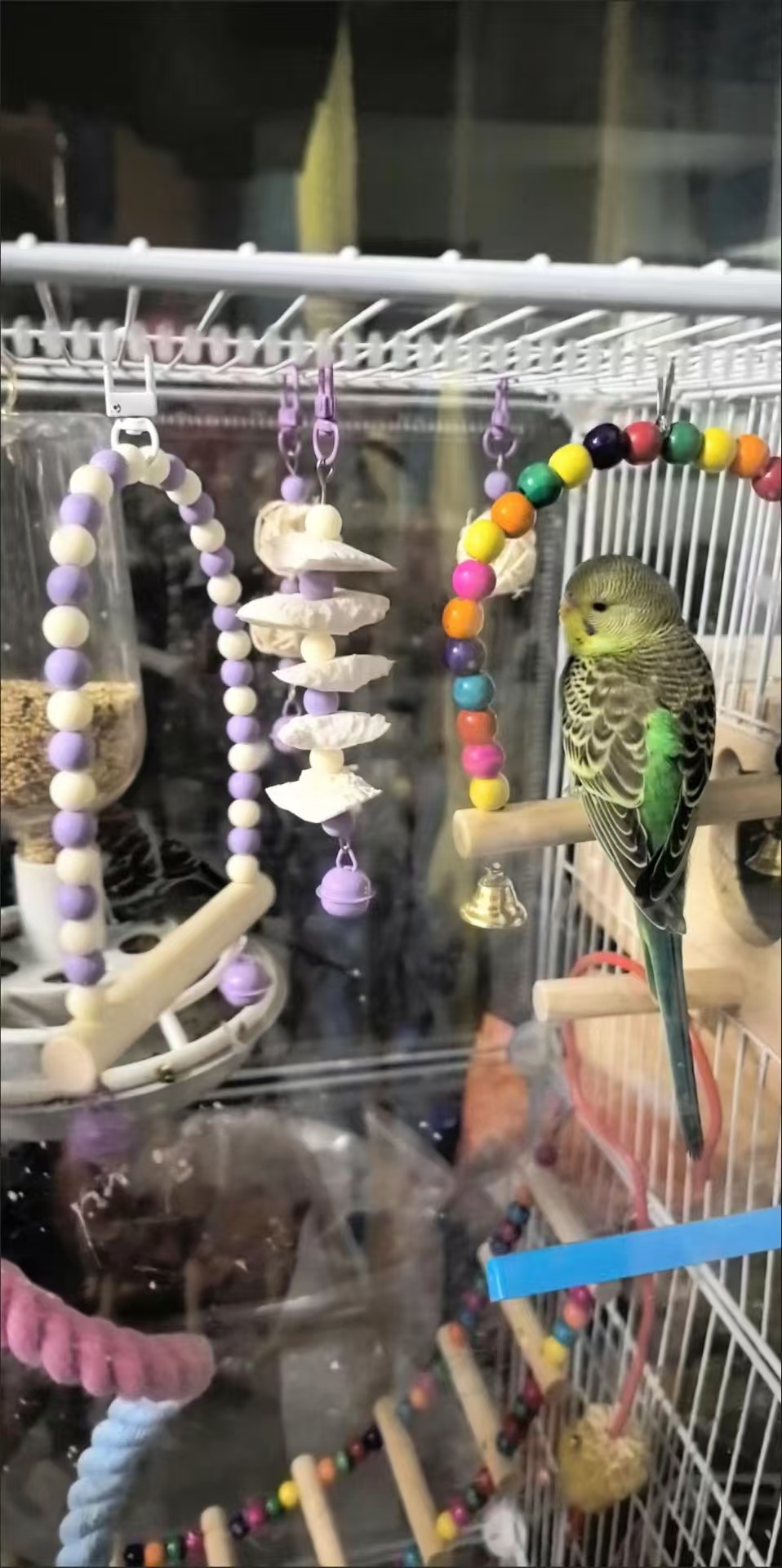 Bird Cage Toys Set (4-Pack) – Swing Perch & Chew Toy Bundle