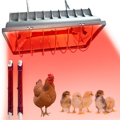 Chicken Coop Heat Lamp – 175W/250W Adjustable Hanging Infrared Heater  01
