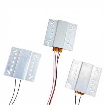 PTC Heating Plate for Homemade Egg Incubator – 12V / 110V / 220V 01