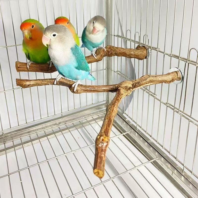Natural Grape Wood Parrot Perch 