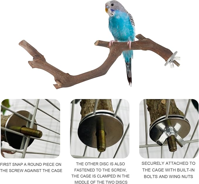 Natural Grape Wood Parrot Perch 