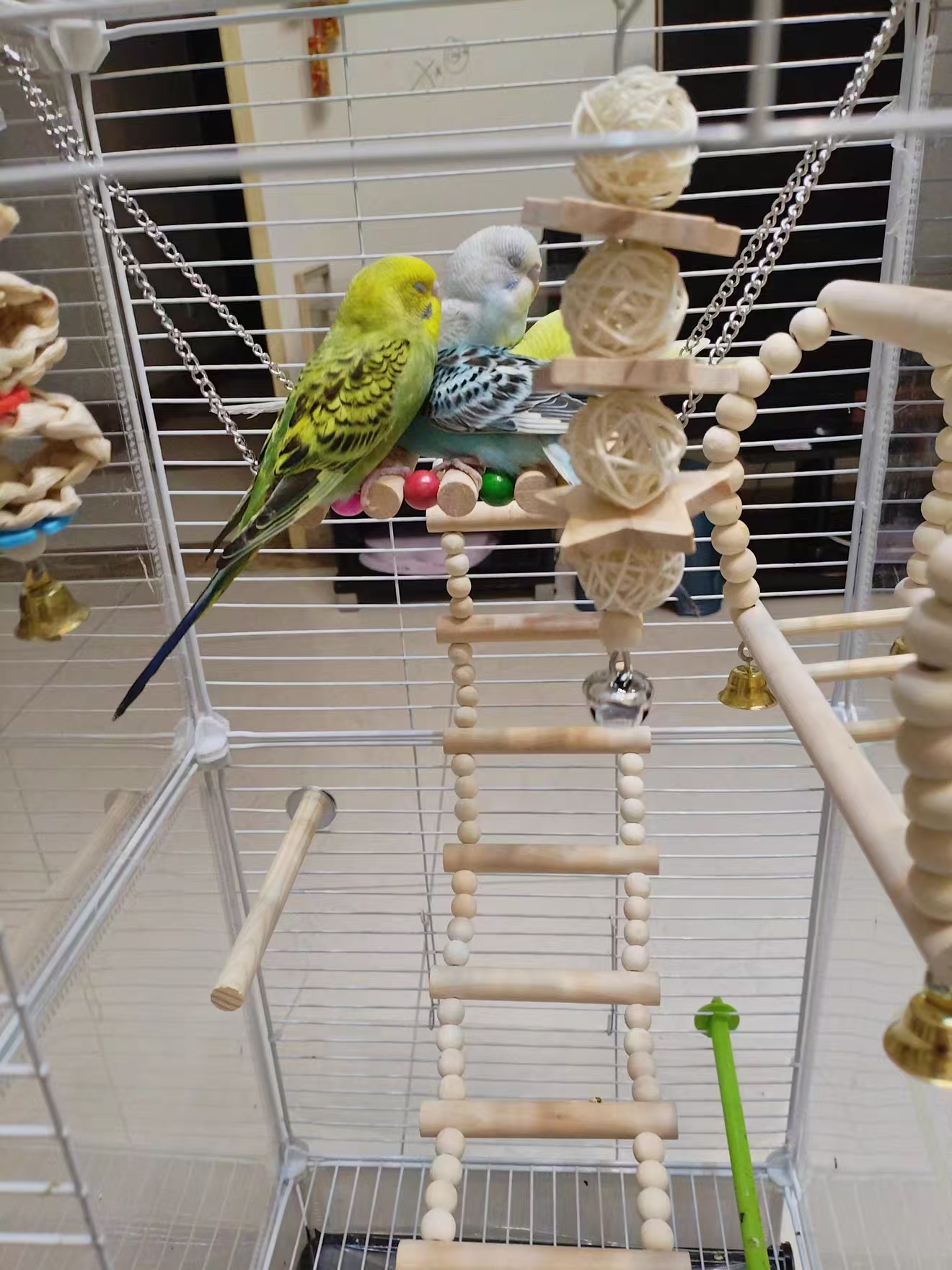 Natural Wood Bird Toys Set (8-Piece) – Swings, Ladder, Perch & Chew Toys