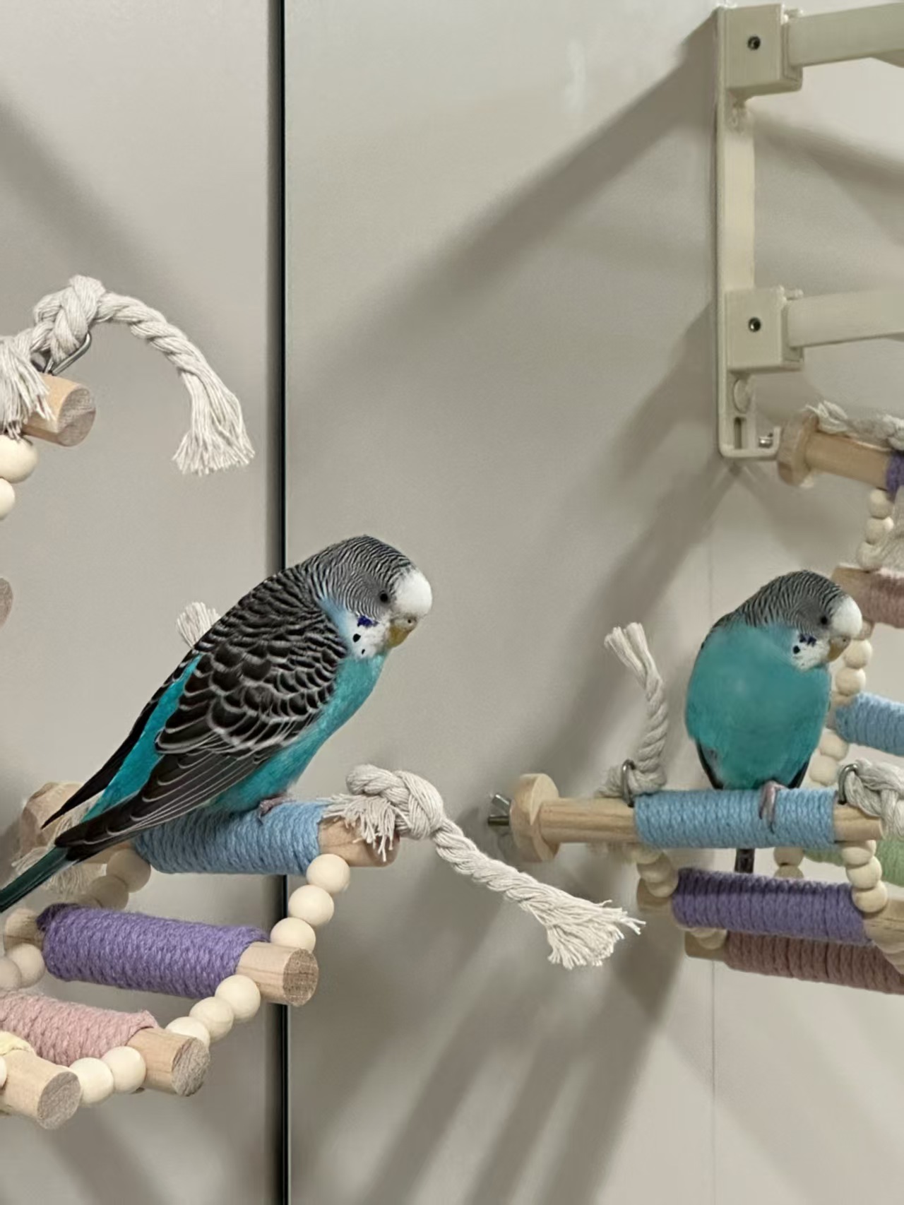 Wood Bird Rope Ladder Perch (5/8/10 Rung)