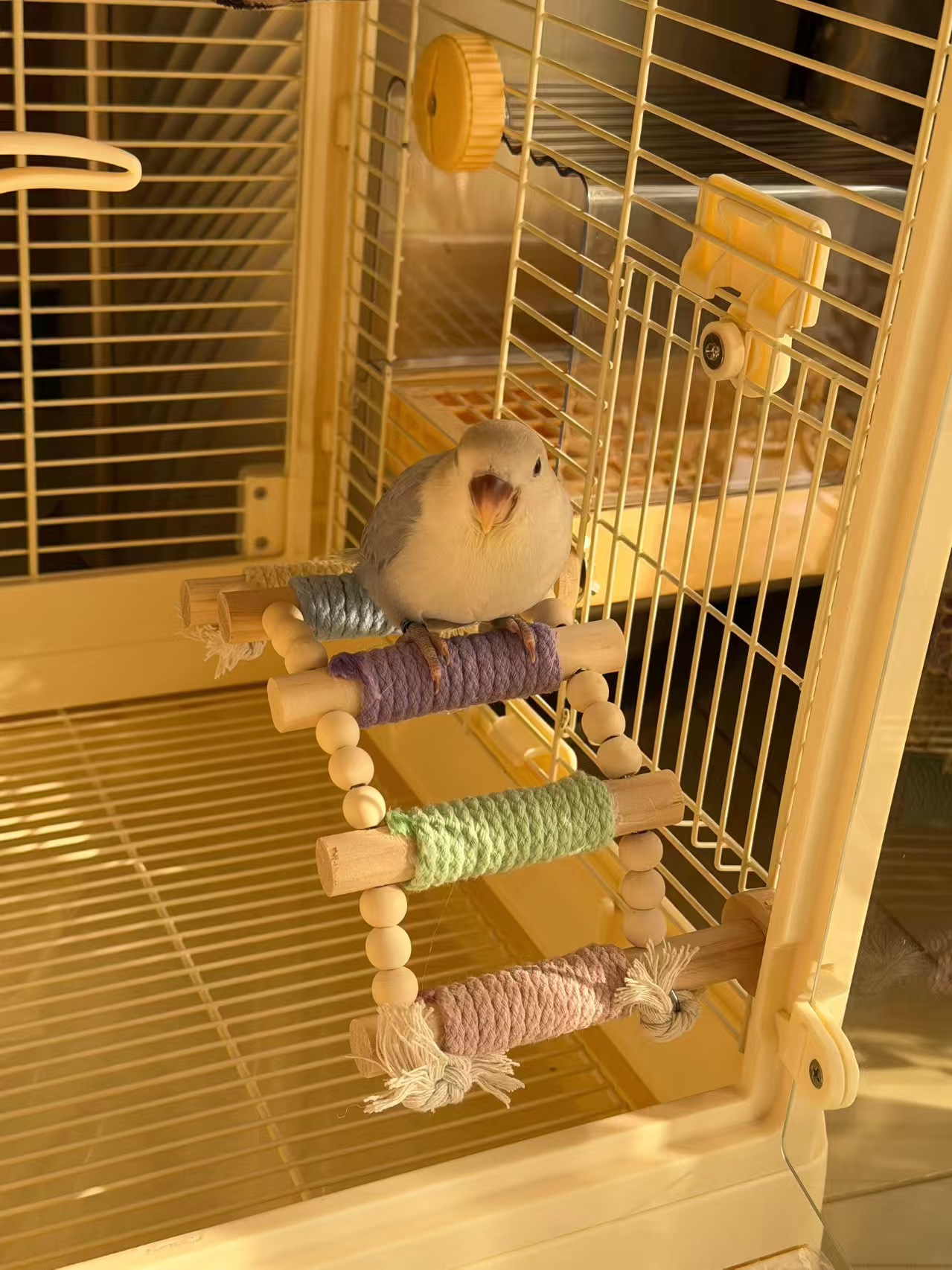 Wood Bird Rope Ladder Perch (5/8/10 Rung)