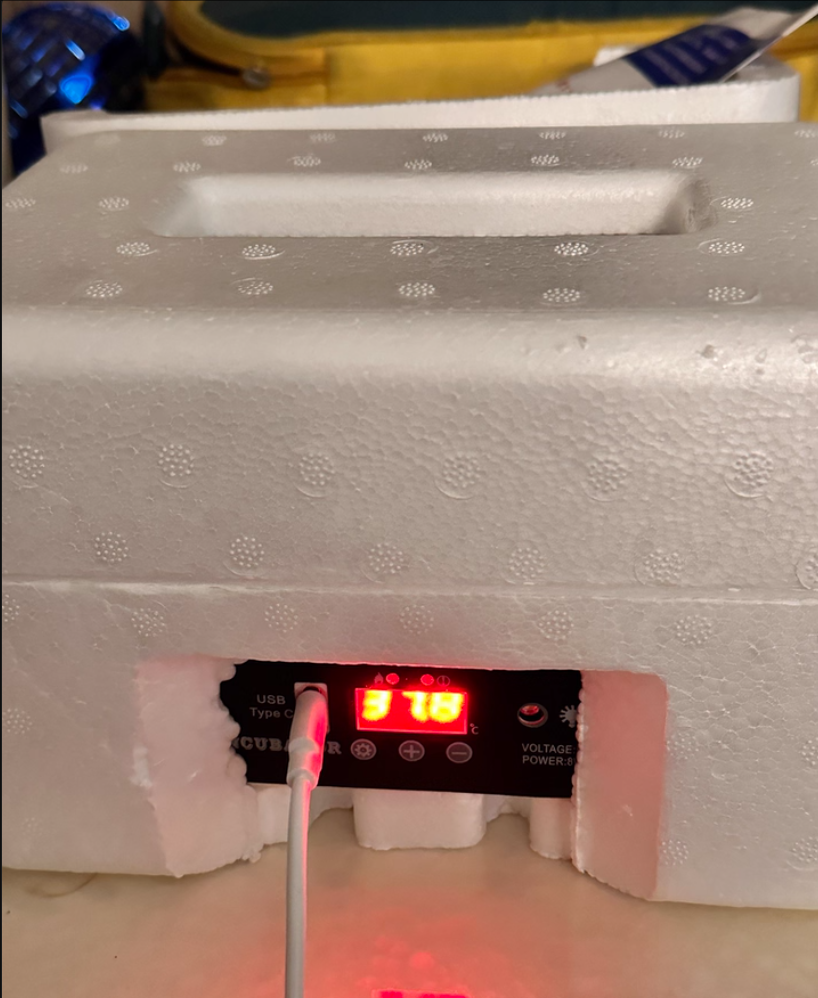 USB-Powered Egg Incubator  6-Egg Auto Roller Silent  review Dean 00