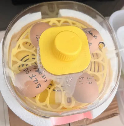 Eggbloom 6-Egg Auto-Turn Incubator review Maya 00