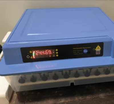 Automatic Egg Incubator with Temp and Humidity Control review Ava 03