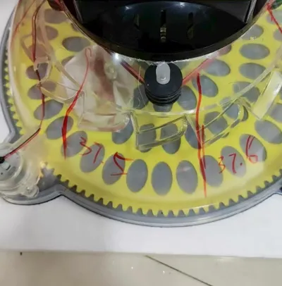 Automatic Egg Incubator 3 Trays for Birds and Quail review Jamie 00