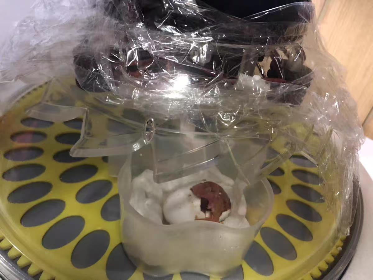 Automatic Egg Incubator with Interchangeable Trays (Chicken, Quail, Bird Options) review Liam P 01