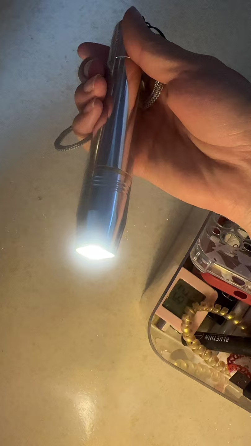 LED Egg Candler for Hatching Eggs – Portable Handheld Candling Lamp review Johnson