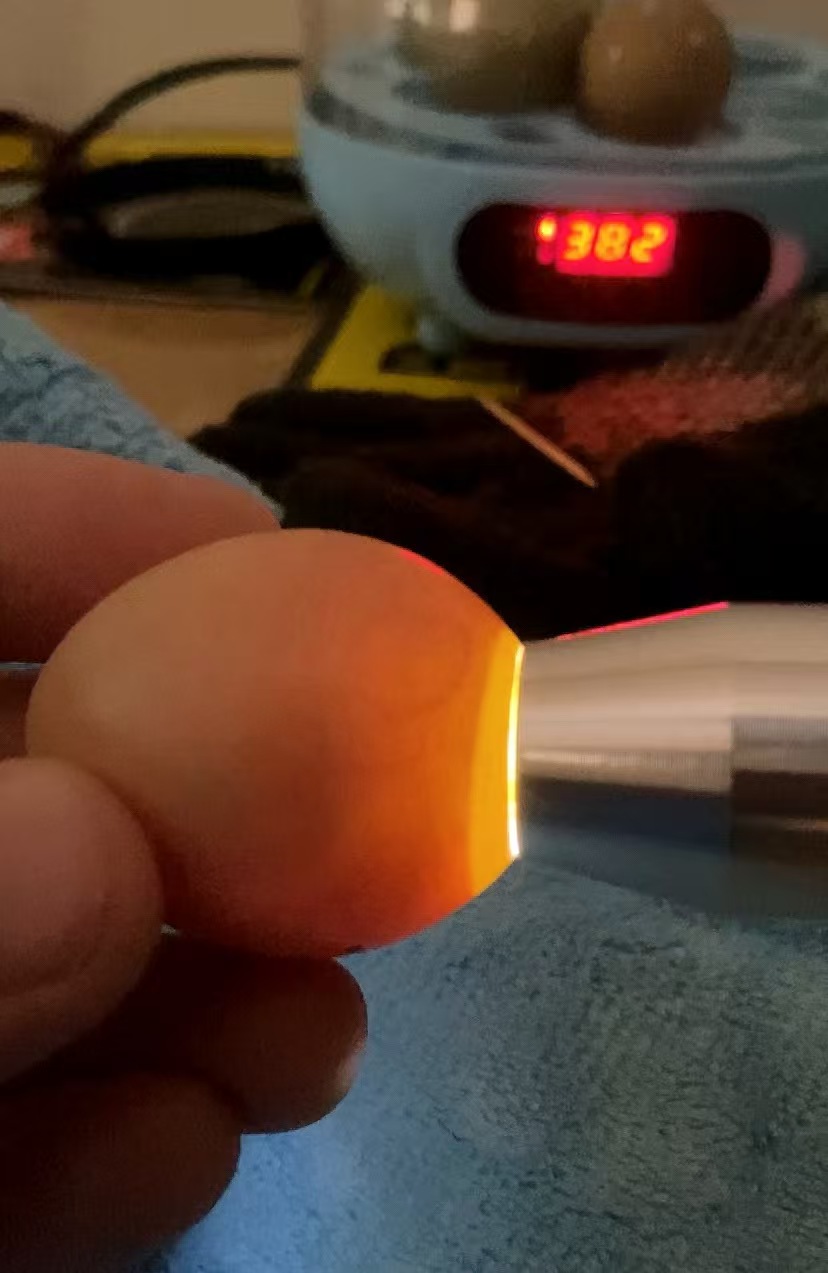 LED Egg Candler for Hatching Eggs – Portable Handheld Candling Lamp review Jason M